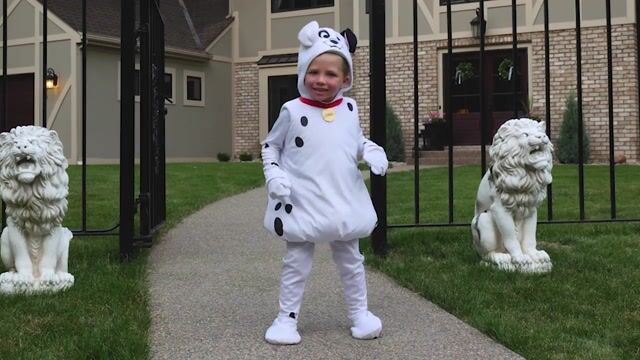 FUN2506TD Dalmatians Toddler